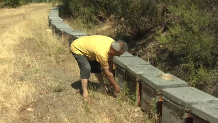 Las colmenas, las telecomunicaciones y el agua, entre los principales afectados por el incendio en Las Hurdes