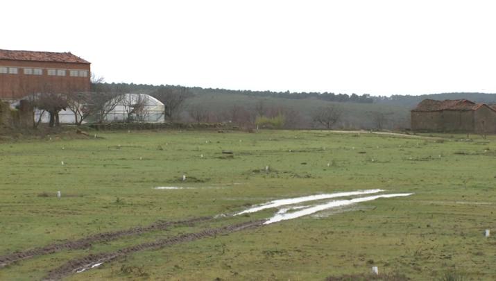 Explotación de la comarca de La Vera, en Extremadura, en enero de 2026