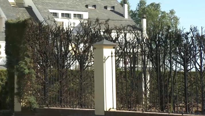 Resultado de un incendio en las Vaguadas en Badajoz