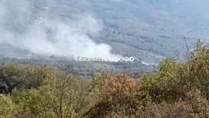 Imagen del incendio en el término municipal de Casas del Castañar