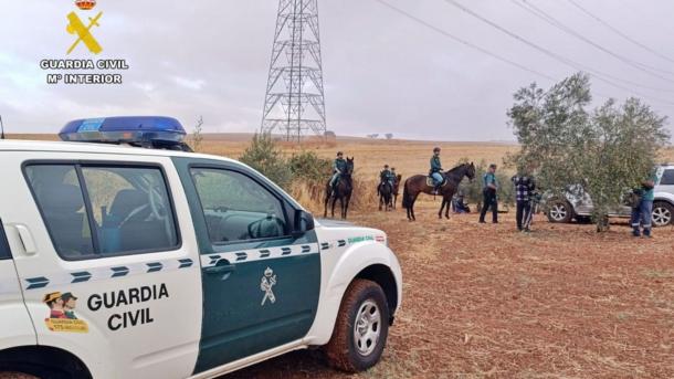 Actuaciones contra el robo de aceitunas