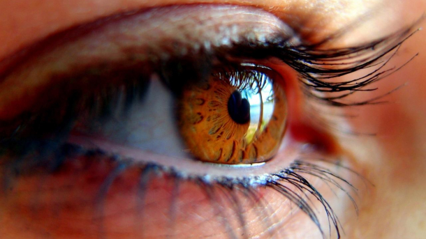 Salud visual