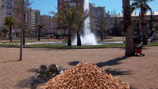 Huesos de aceitunas en el barrio