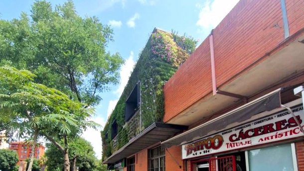 Jardín vertical estación de autobuses de Cáceres