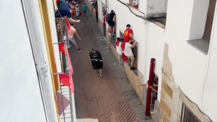 Sanjuanes, San juan Coria, Encierros, Toros, Junta de Defensa, Tierra de Toros, Juan Bazaga, Canal EXtremadura