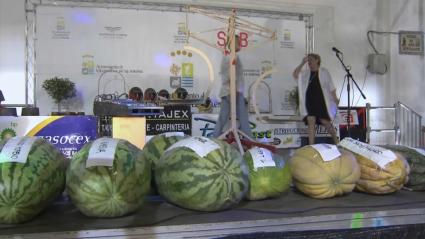 Sandías y melones