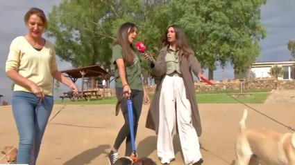 cuidadora de perros en Peloche