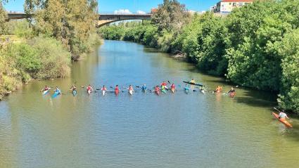 Palistas de Extremadura