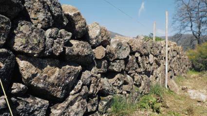 Muro de piedra seca en una finca extremeña