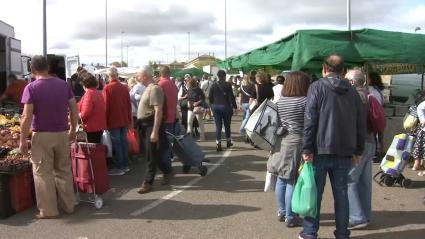 El mercadillo de Cáceres se queda en Vegas del Mocho hasta su traslado definitivo a una parcela en Mejostilla