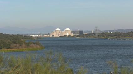as centrales nucleares Ascó y Vandellós (Tarragona) han notificado al Consejo de Seguridad Nuclear (CSN) el cese de la situación de prealerta de emergencia, al haber recuperado de forma estable la alimentación eléctrica desde el exterior.  Las centrales Almaraz (Cáceres) y Cofrentes (Valencia) también han recuperado el suministro eléctrico exterior pero mantienen la situación de prealerta -según sus Planes de Emergencia Interior (PEI)-.  La planta nuclear Trillo (Guadalajara), parada por recarga de combusti