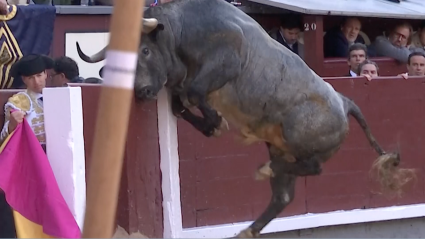 Curiosidades, Las Ventas, Tierra de Toros, CAnal Extremadura, Juan Bazaga