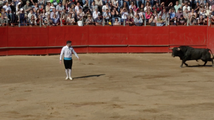 Recortadores, Coria, Juan Bazaga, Tierra de Toros