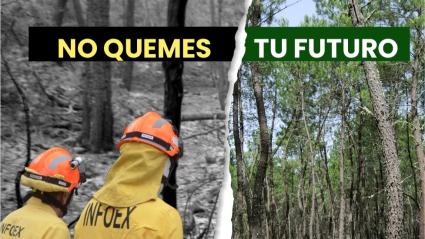 Campaña del INFOEX