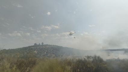 Declarado el Nivel 1 de Peligrosidad por Incendio Forestal en Navalvillar de Pela