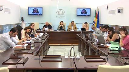 La Ley de Concordia llega a la Asamblea