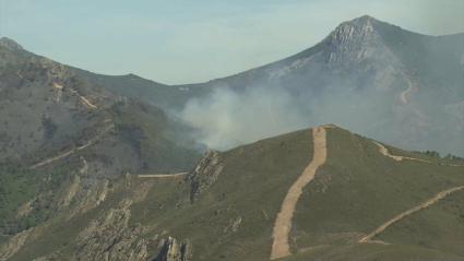 El fuego arrasa 24.133 hectáreas en España hasta el 13 de julio, un 5% menos que en 2024