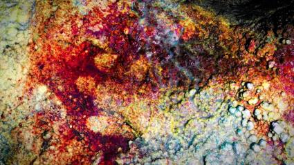 Las pinturas de la Cueva de Maltravieso, nominadas a Mejor Descubrimiento en los Premios Historia National Geographic