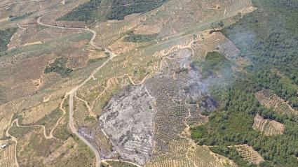 Estabilizado el incendio forestal en Mohedas de Granadilla
