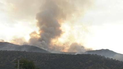 Incendio en Jarilla