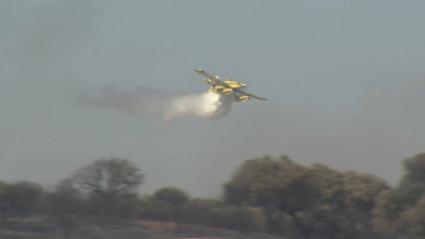 Activado el Nivel 1 por riesgo de viviendas en el incendio de pastos en Badajoz