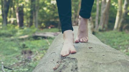 Meditación en la naturaleza