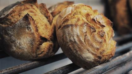Panes ecológicos en una panadería