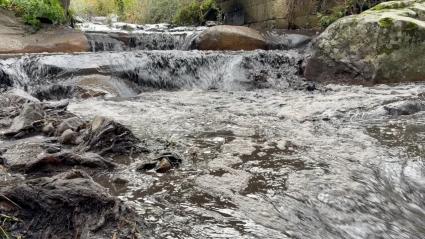Gargantilla y Villar de Plasencia son dos de los municipios afectados por el incendio de Jarilla, que en agosto devastó más de 16.000 hectáreas
