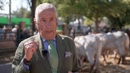 Berrendos, Tierra de Toros, Canal Extremadura, Juan Bazaga