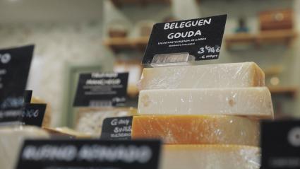 Distintos quesos expuestos en una tienda