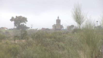 Terrenos en los que se instalará la futuro planta fotovoltaica de Coria y Guijo de Coria
