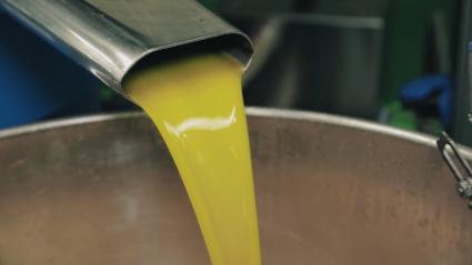 Aceite en una almazara