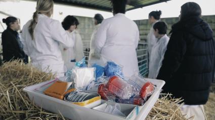 Veterinarios en práctica con material de laboratorio