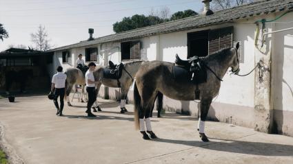 Alumnos a punto de empezar una clase de equitación