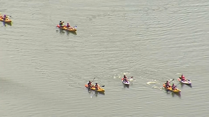 Kayaks en el entorno del Meandro El Melero