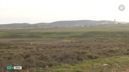 Terrenos de la dehesa boyal del término municipal de Zafra donde se levantará el macromatadero del ibérico. Dehesa y campo cerca de Zafra.