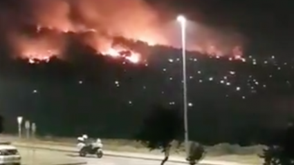 Incendio forestal cerro de la buitrera en Cáceres