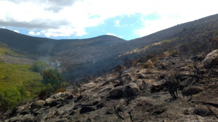 Imagen de las hectáreas devoradas por el fuego 