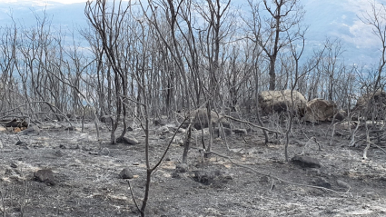 Imagen del incendio en Garganta de los Infiernos al final de la tarde