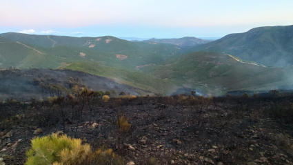 Imagen del incendio a última hora de la tarde