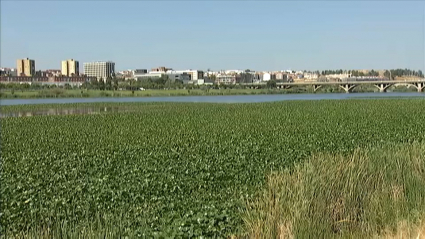Situación del Río Guadiana en Badajoz