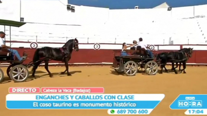 Caballos en Cabeza a Vaca