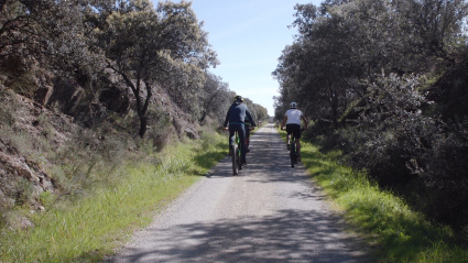 Ruta en bicicleta