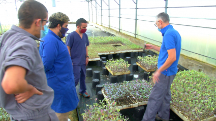 Usuarios de Mensajeros de la Paz Extremadura trabajando a pleno rendimiento en la campaña de semillado de su Taller de Jardinería