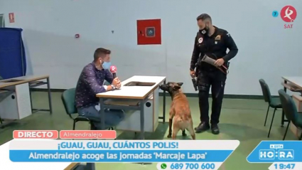 Perros policías y un periodista