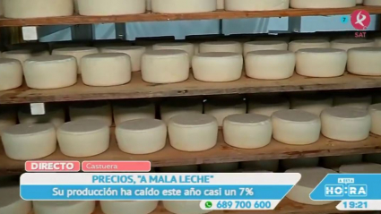 Quesos de oveja en crisis