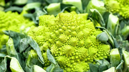 brócoli rumano o romanesco