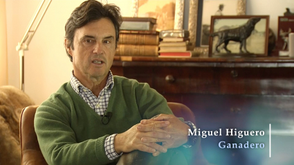 Tierra de Toros_Ganadería Miguel Higuero