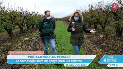 Perales en Los Guadalperales