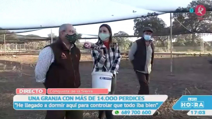 Perdices en Conquista de la Sierra